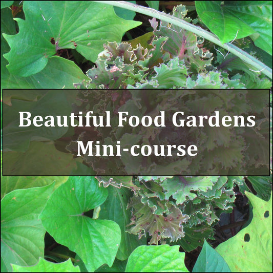 Easy Edible Landscapes: Add a Beautiful Food Garden to Your Yard in Just 14 Days - Patricia Loofbourrow