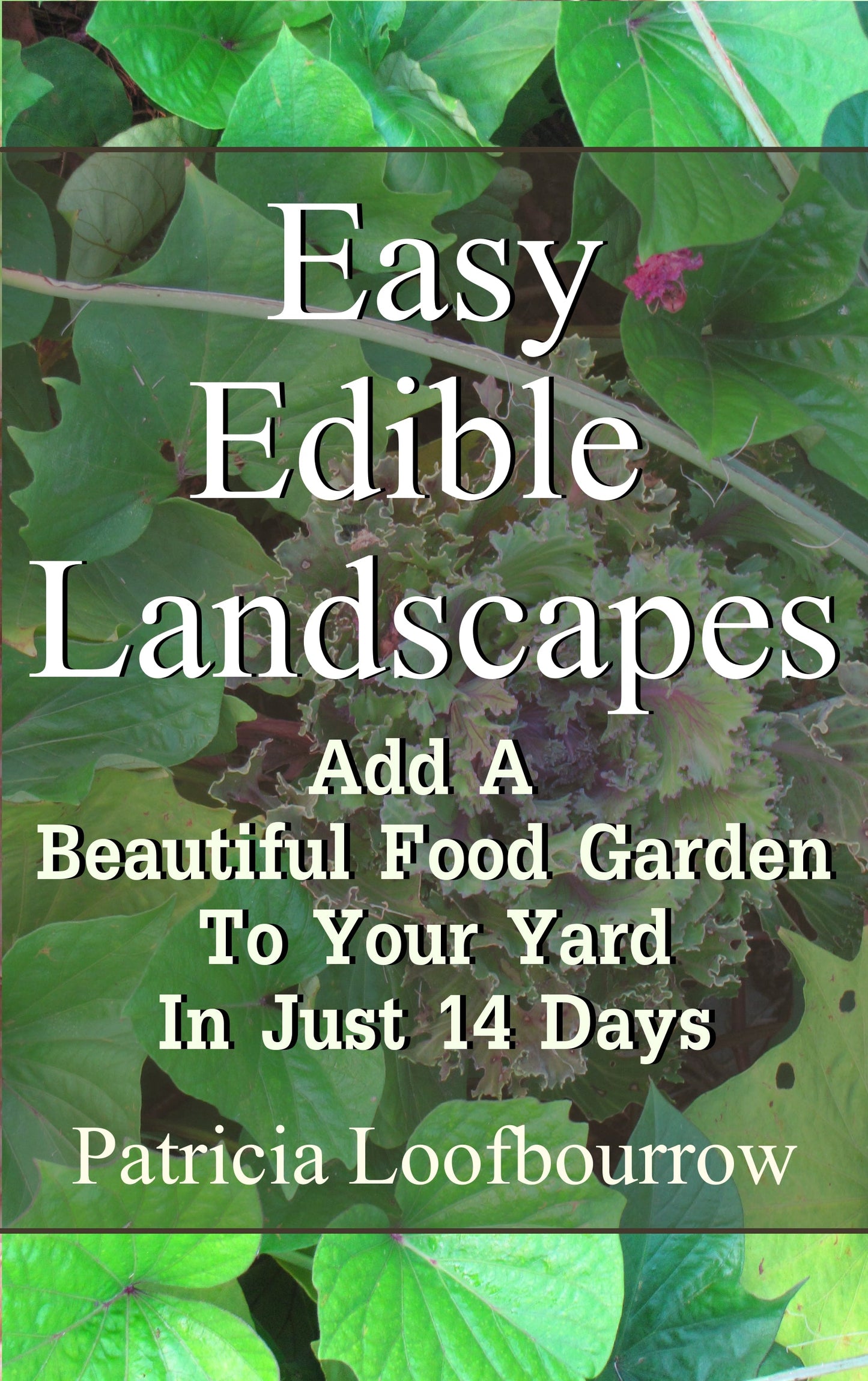 Easy Edible Landscapes: Add a Beautiful Food Garden to Your Yard in Just 14 Days - Patricia Loofbourrow