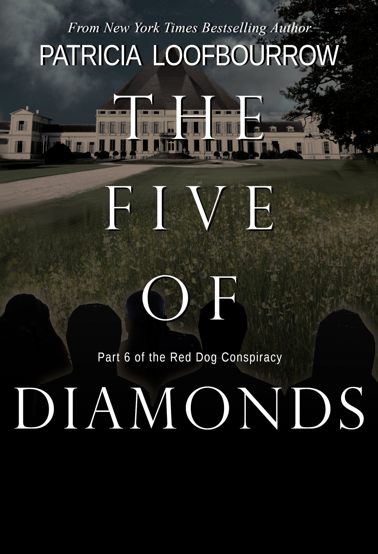 The Five of Diamonds [signed hardcover] - PatriciaLoofbourrow