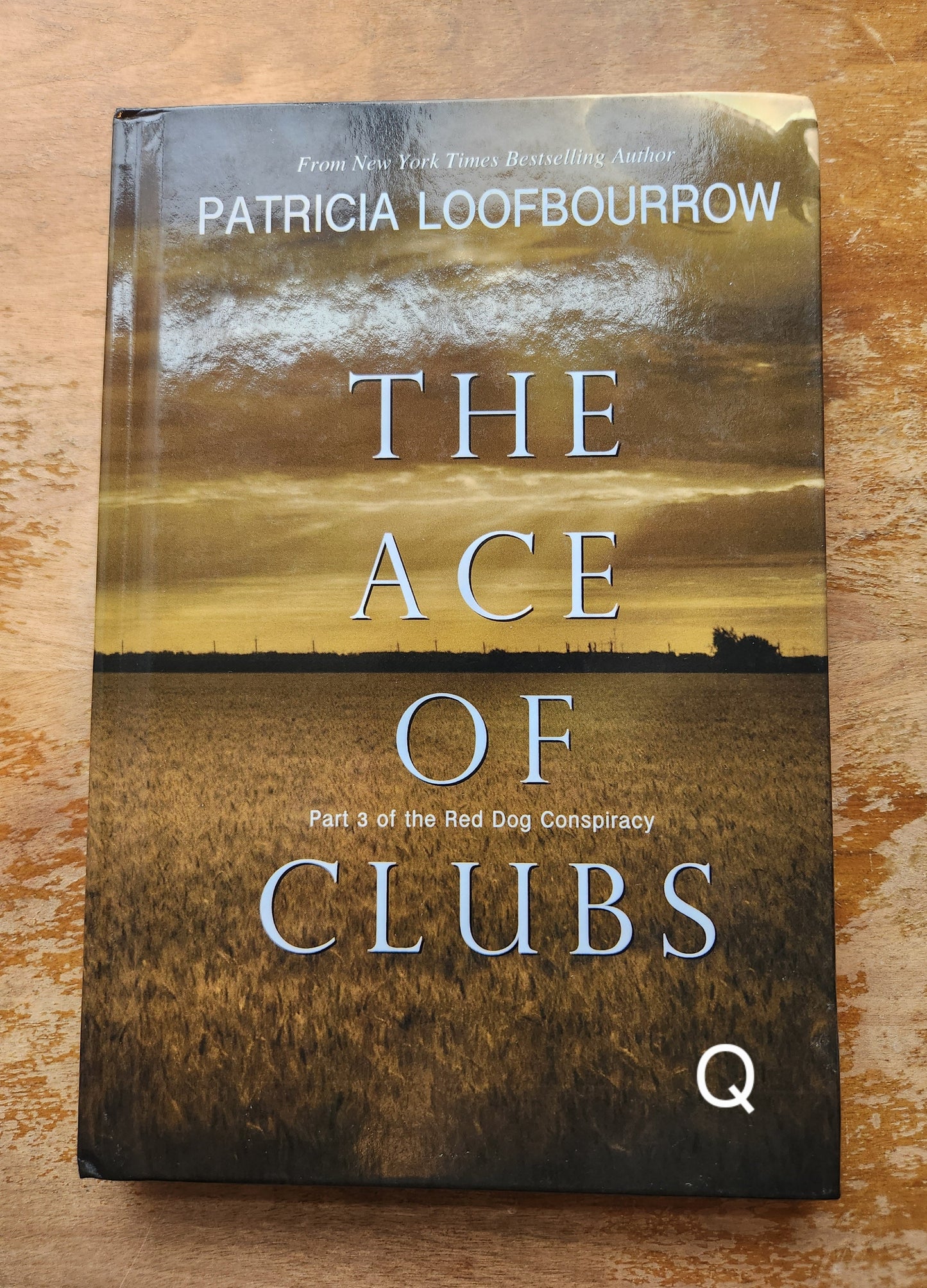 Bargain books - Patricia Loofbourrow