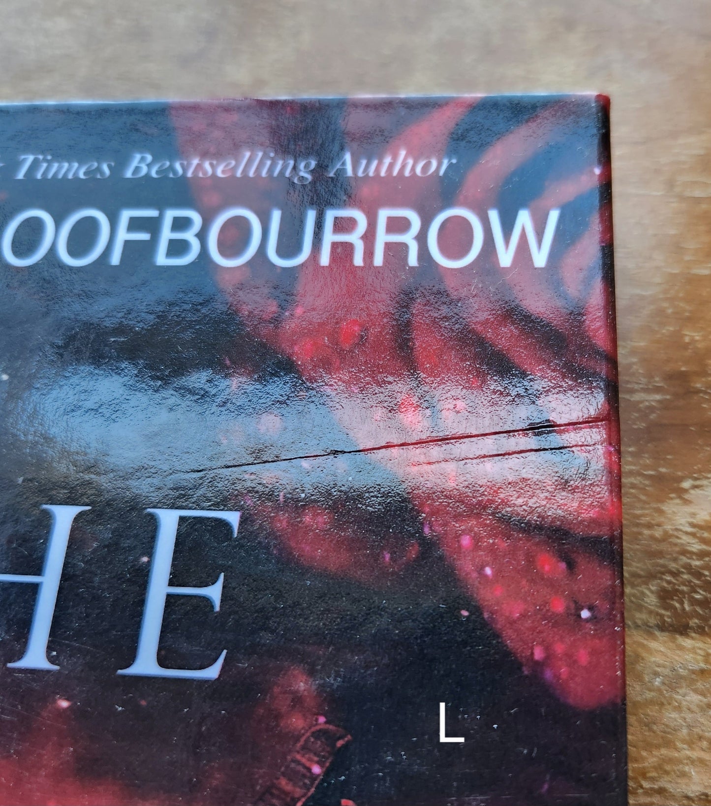 Bargain books - Patricia Loofbourrow