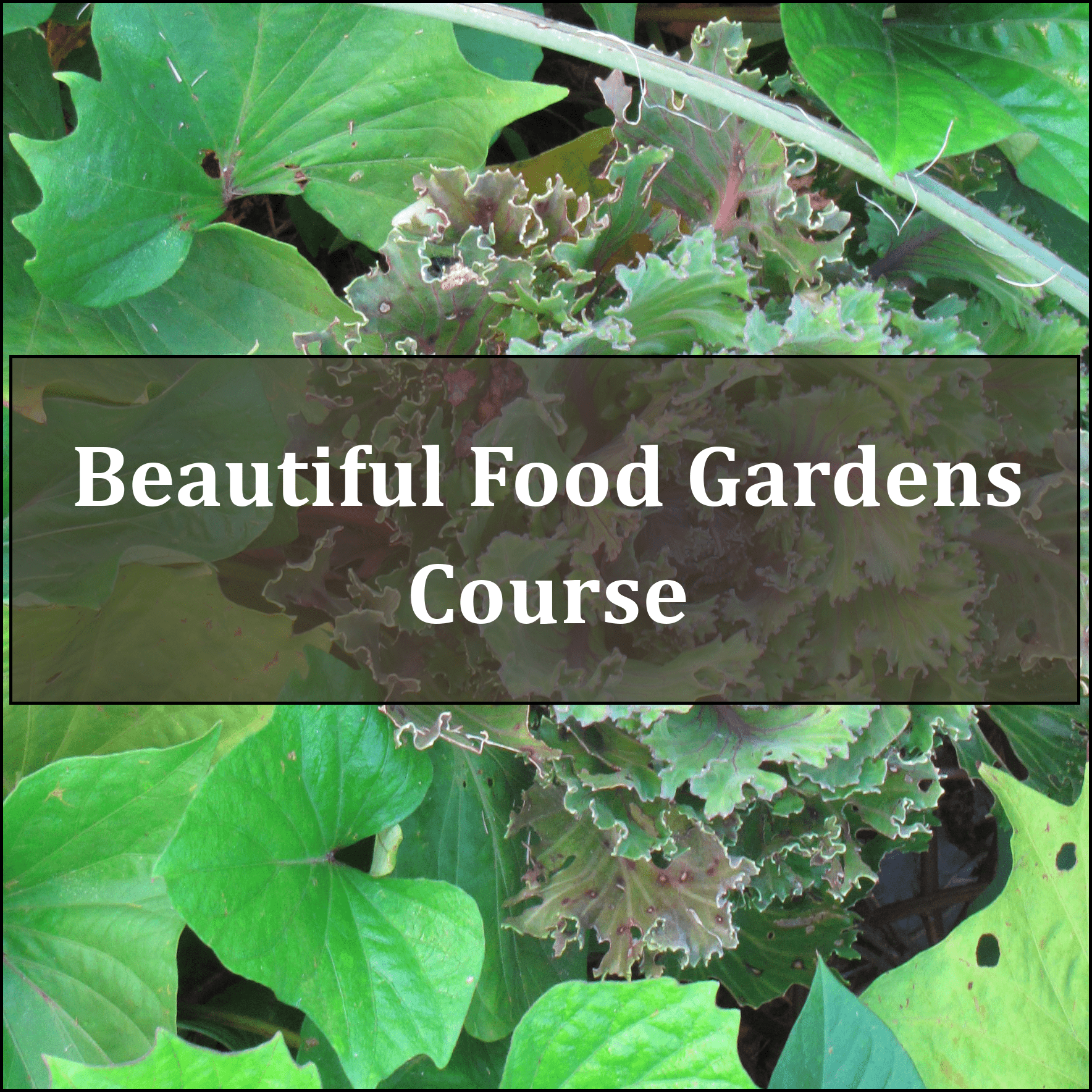 Easy Edible Landscape: Add a Beautiful Food Garden to Your Yard in Just 14 Days [COURSE] - Patricia Loofbourrow