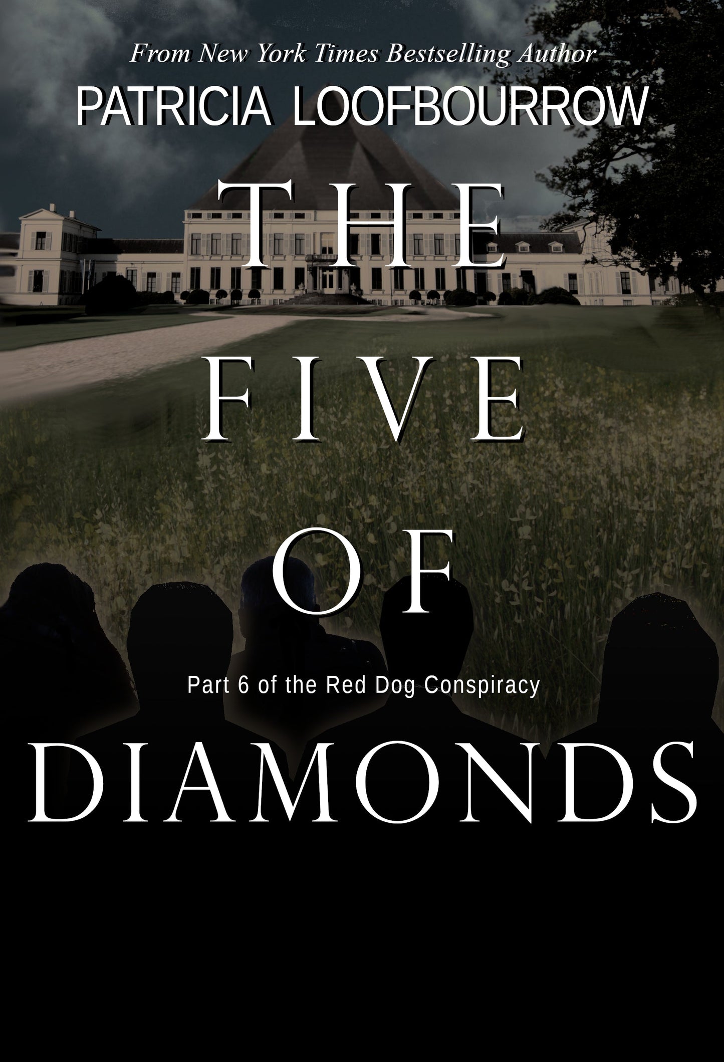 The Five of Diamonds [Kindle and ePUB] - PatriciaLoofbourrow